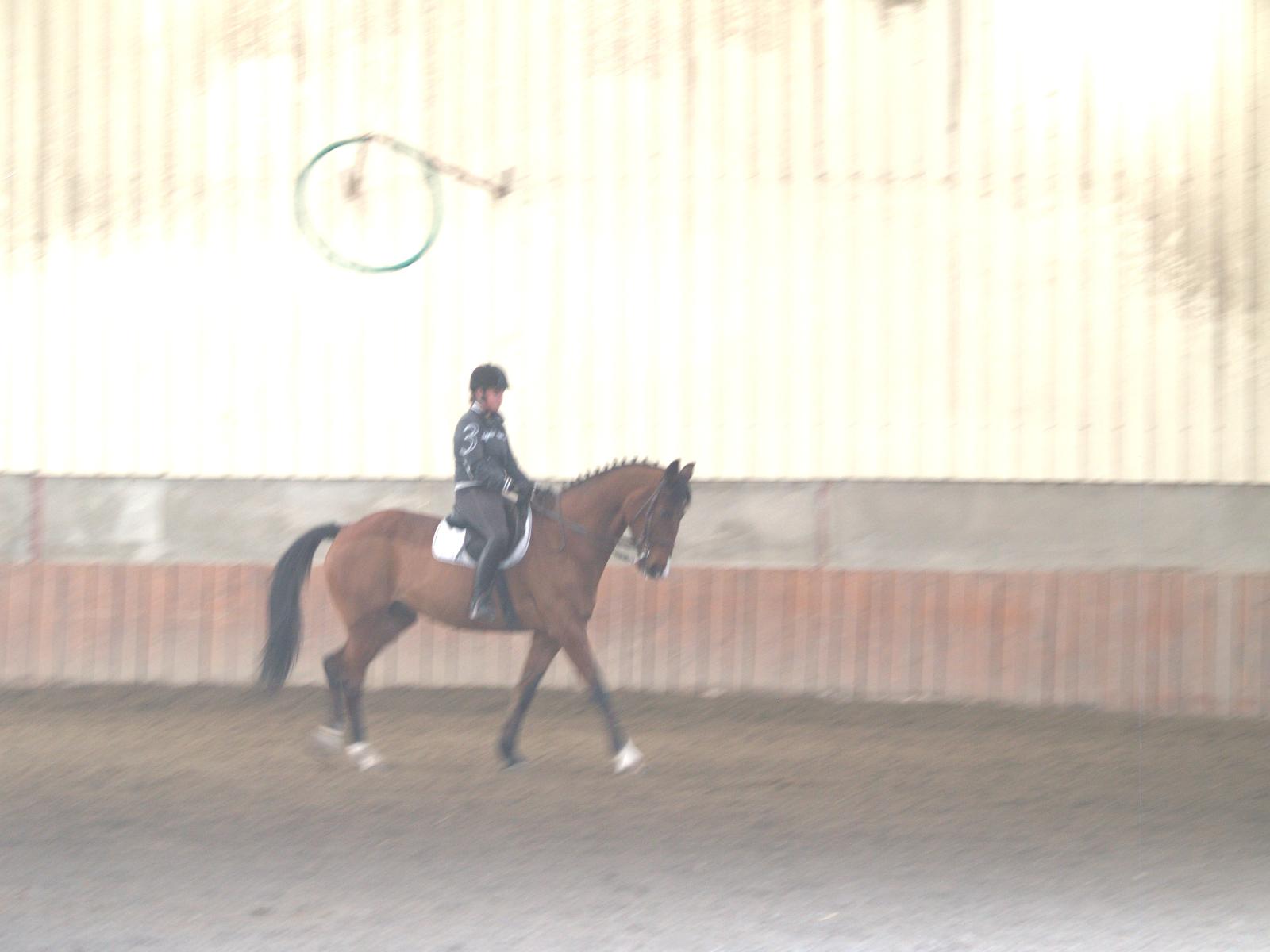 Cours d'équitation au Centre Equestre du Parc à Châteauvillain 
