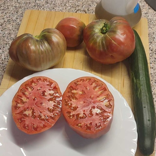Dos tomates se cortan por la mitad en un plato blanco.