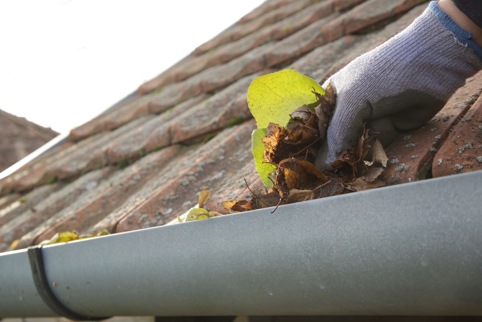 Gloved hand removing debris from a yellow-green gutter on a tiled roof