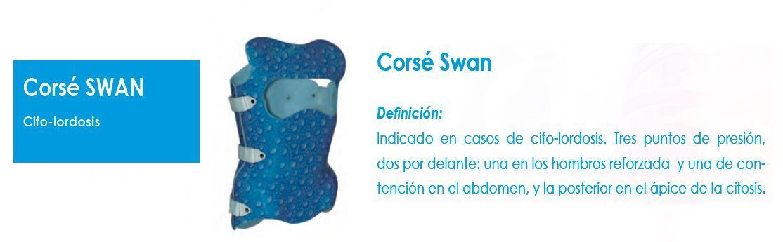 Un corsé azul con la palabra cisne.