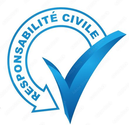 Logo Responsabilité civile