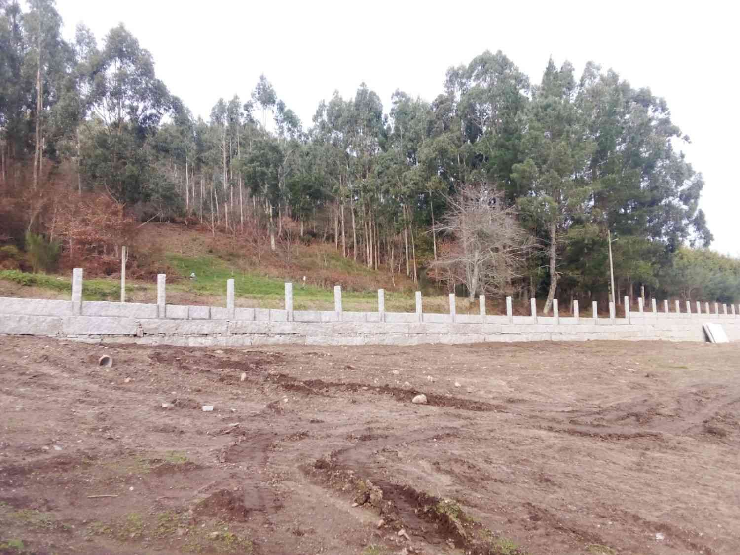 Un muro bajo de hormigón y una valla delimitan un campo de tierra. En una pequeña ladera crecen eucaliptos.