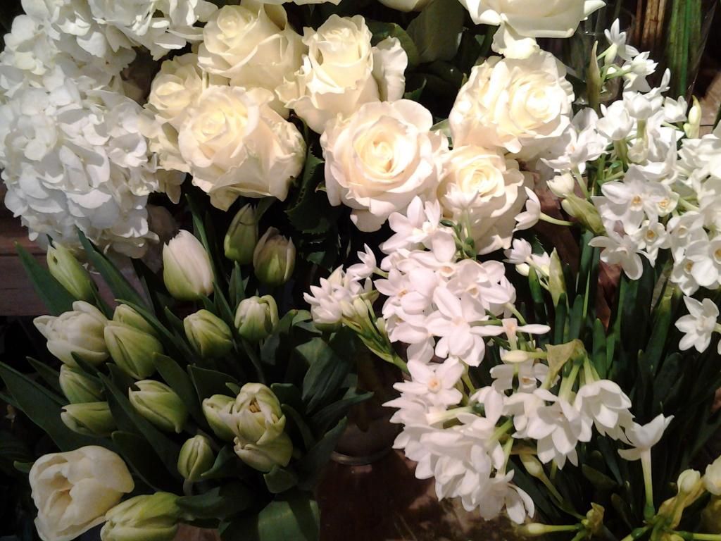 Fleurs coupées blanches