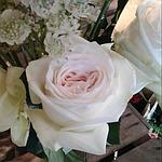 Allons voir si la rose.. art floral en Bretagne