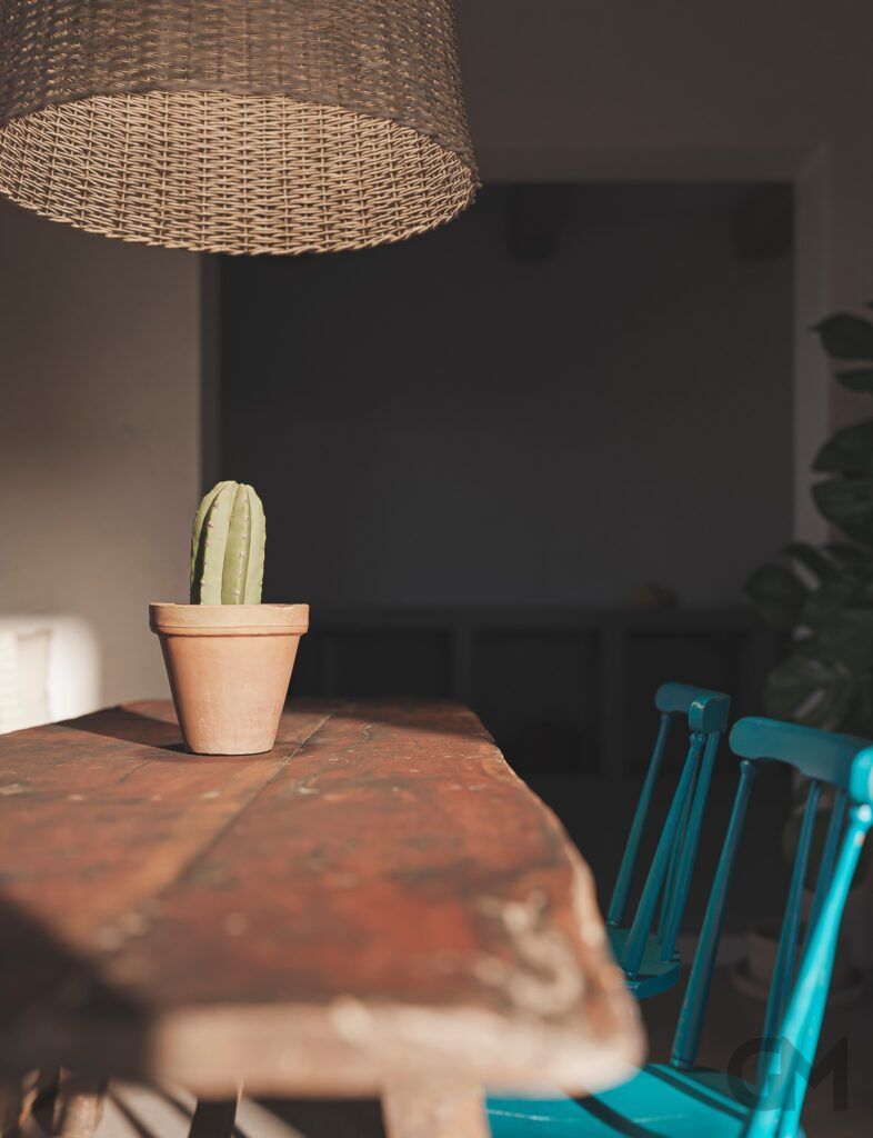 Un cactus en maceta está sobre una mesa de madera al lado de una silla azul.
