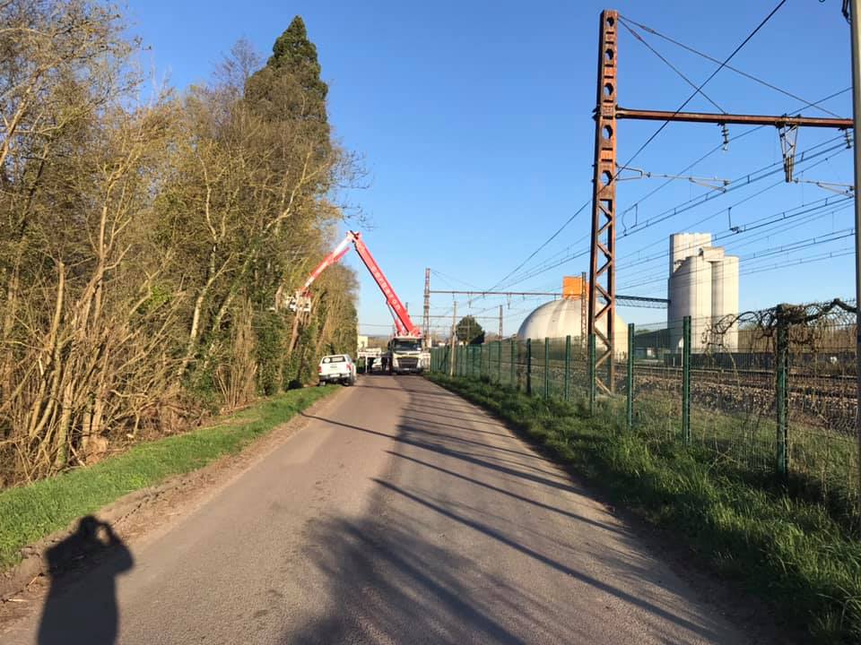 Abattage d'un séquoia  par démontage