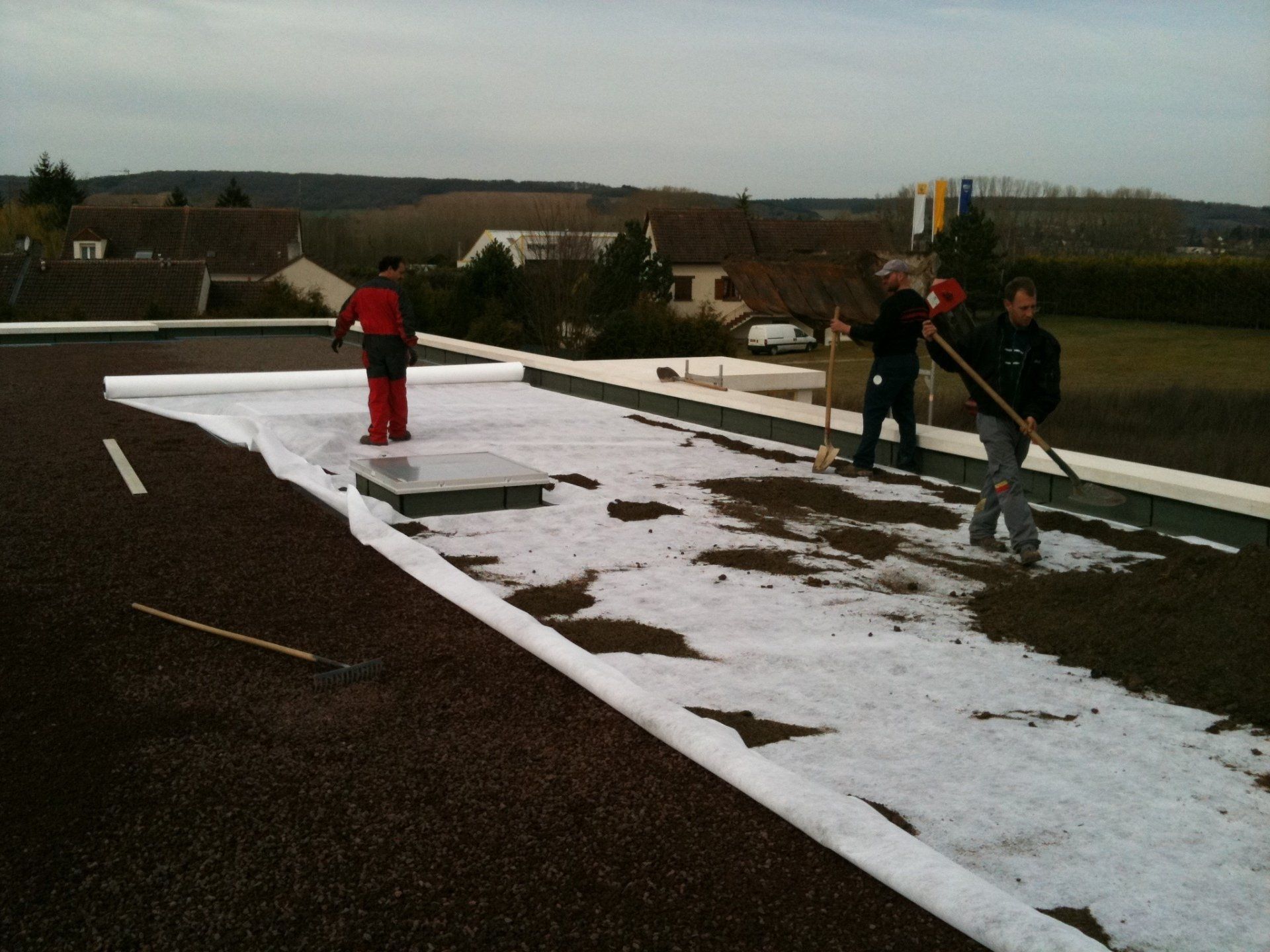 Mise en place de toit vert