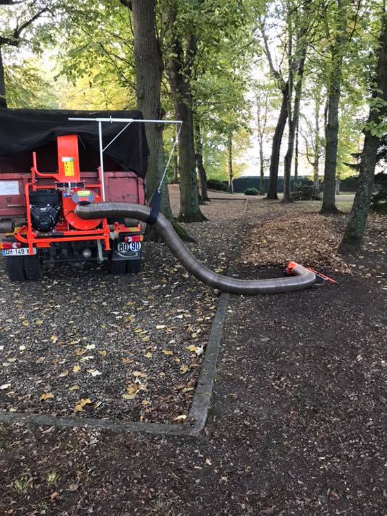 Ramassage des feuilles