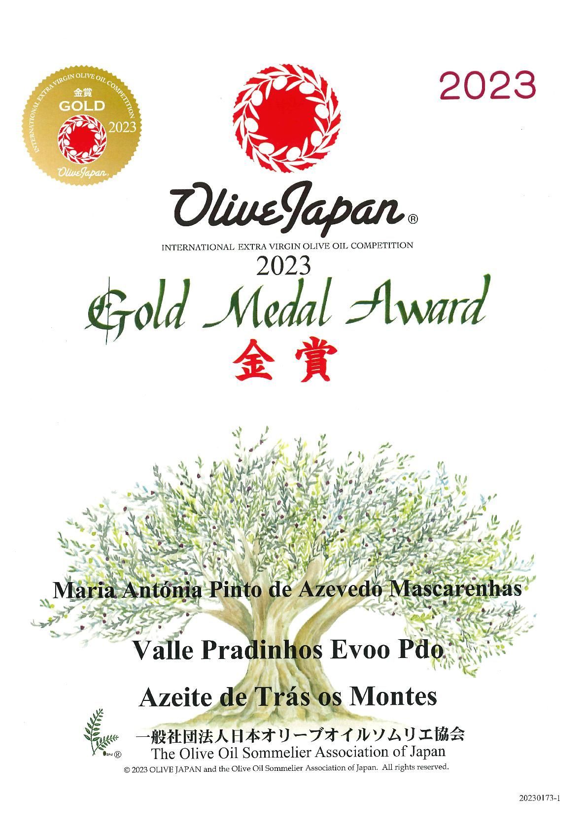 Diploma Gold Medal Award 2023