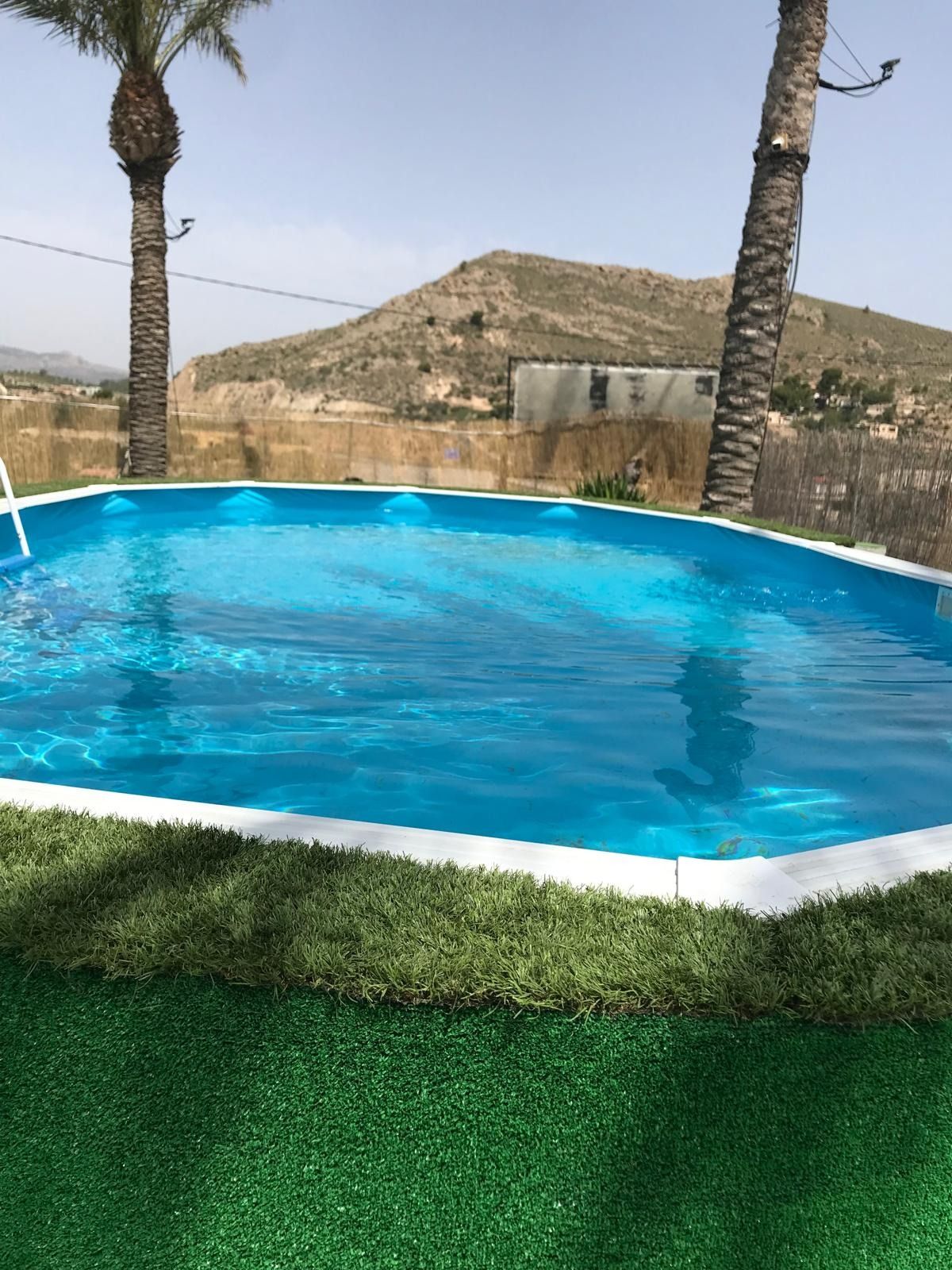 Una gran piscina rodeada de palmeras y césped.