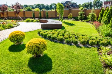 Jardin arrière soigné avec pelouse verte, arbustes arrondis, terrasse en pierre et banc en bois baigné de soleil.