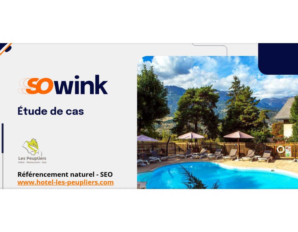 Étude de cas Sowink pour l'hôtel Les Peupliers présentant un espace piscine ensoleillé avec les montagnes en arrière-plan.