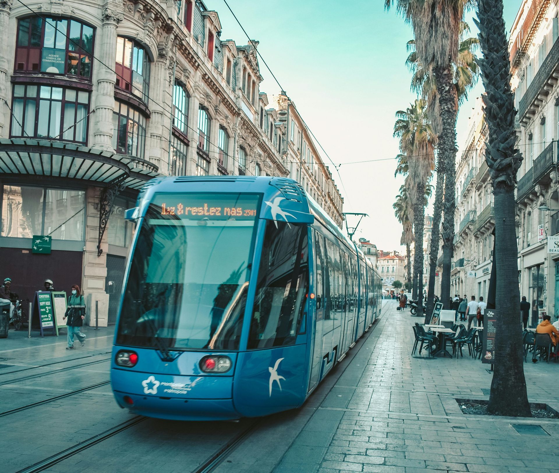 Un tramway bleu moderne circule sur des rails dans une rue pavée bordée de palmiers et de bâtiments ornés.