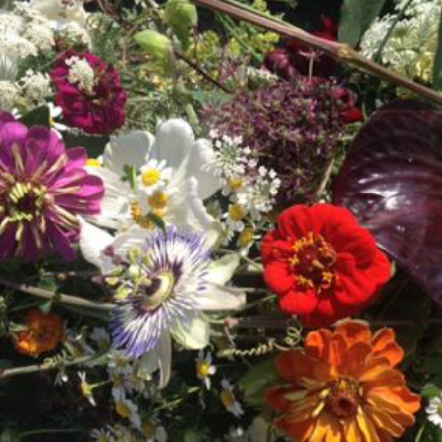 Blumen