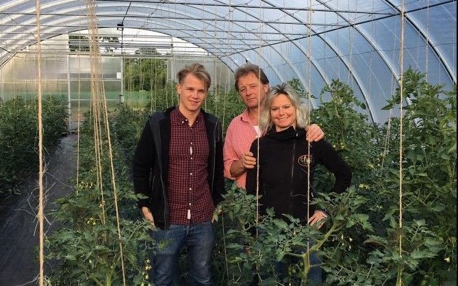 Team in einem Gewächshaus