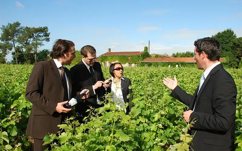 Quatre personnes en costume discutent dans un vignoble verdoyant sous un ciel dégagé