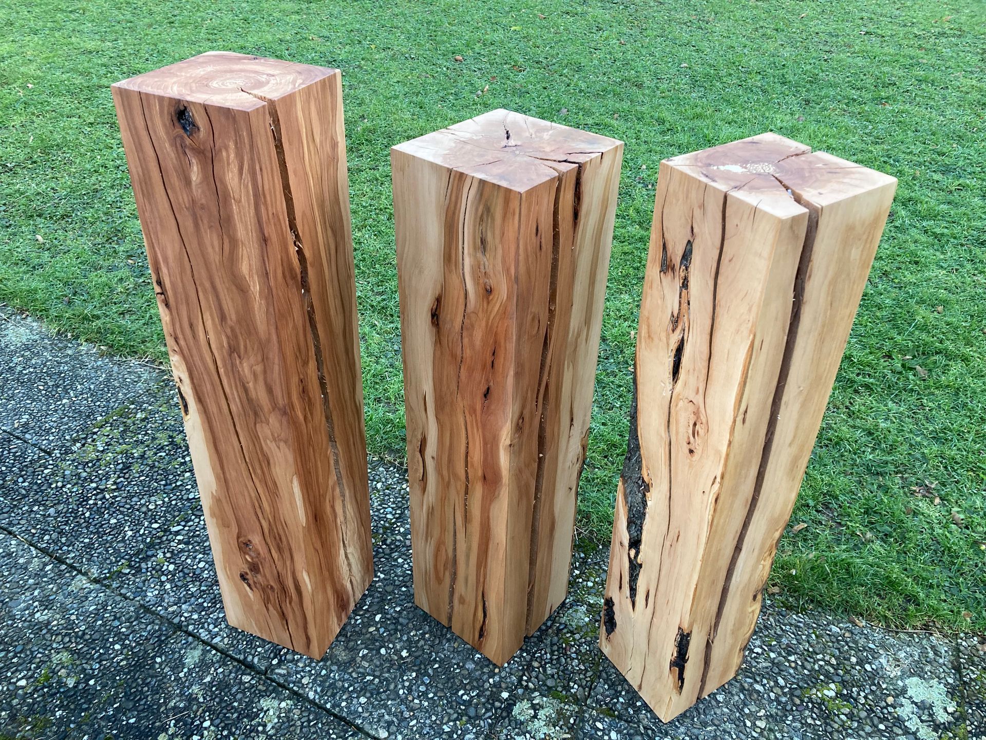 Drei Holzklötze liegen auf einem Gehweg vor einer Wiese.