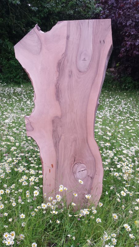 Ein großes Stück Holz liegt inmitten einer Blumenwiese.