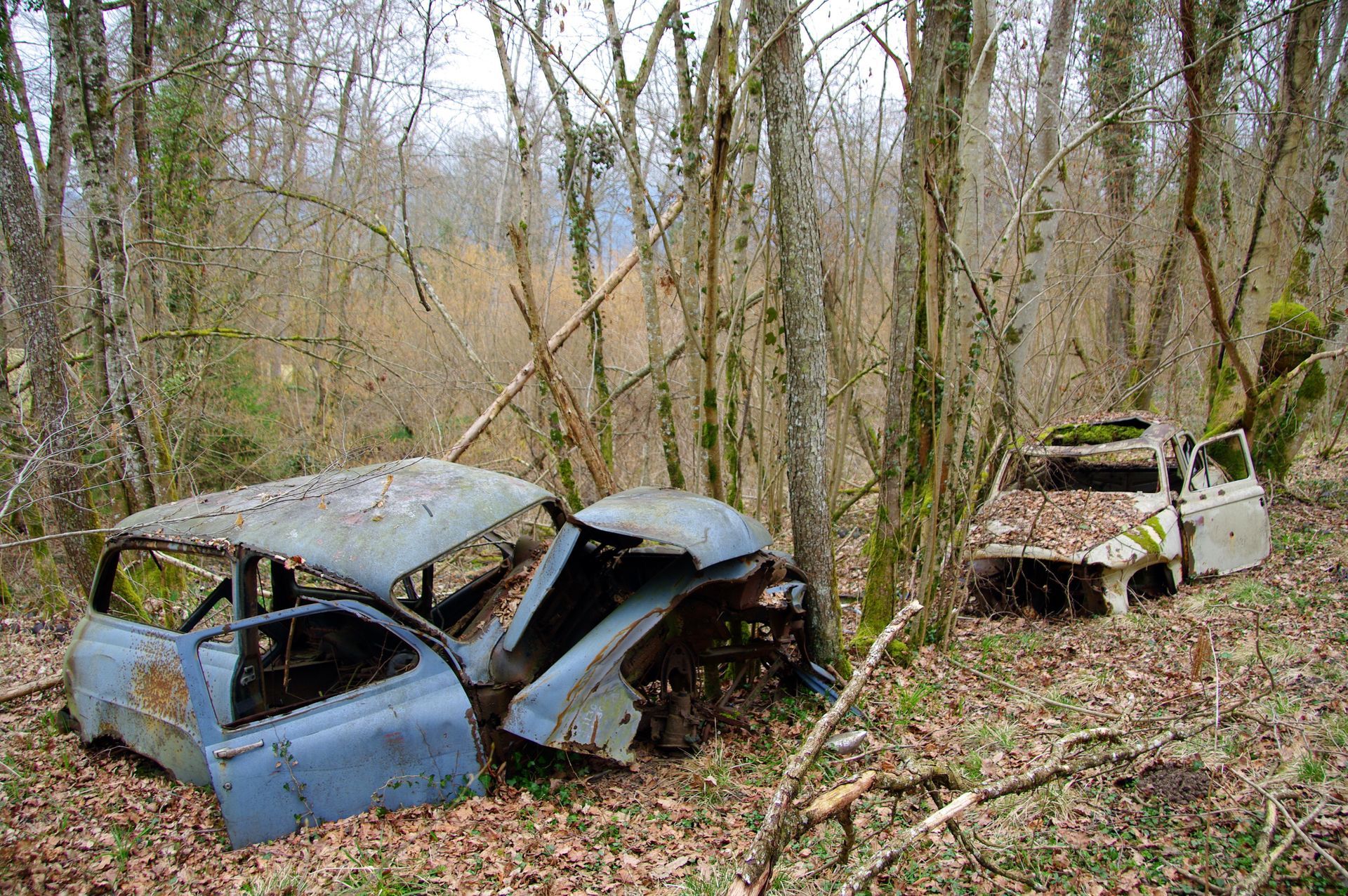 Une épave de voiture en forêt