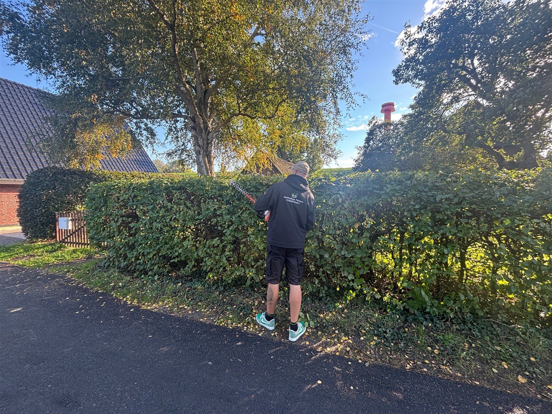Dichte Grundstückshecke als natürliche Abgrenzung an einer Straße