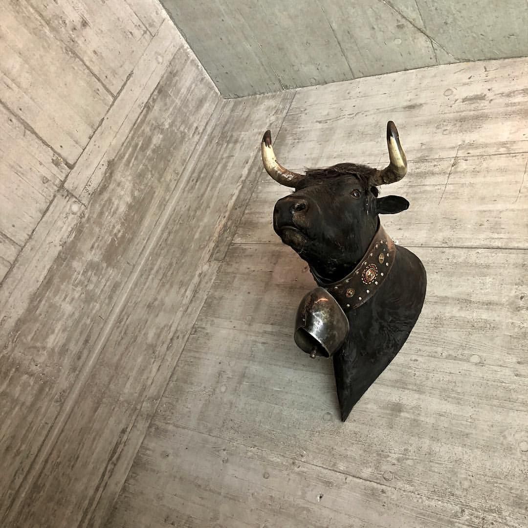 nos-references-beton-apparent-brut-hameaude-colombire-arnouva-bernard-gasser-sa