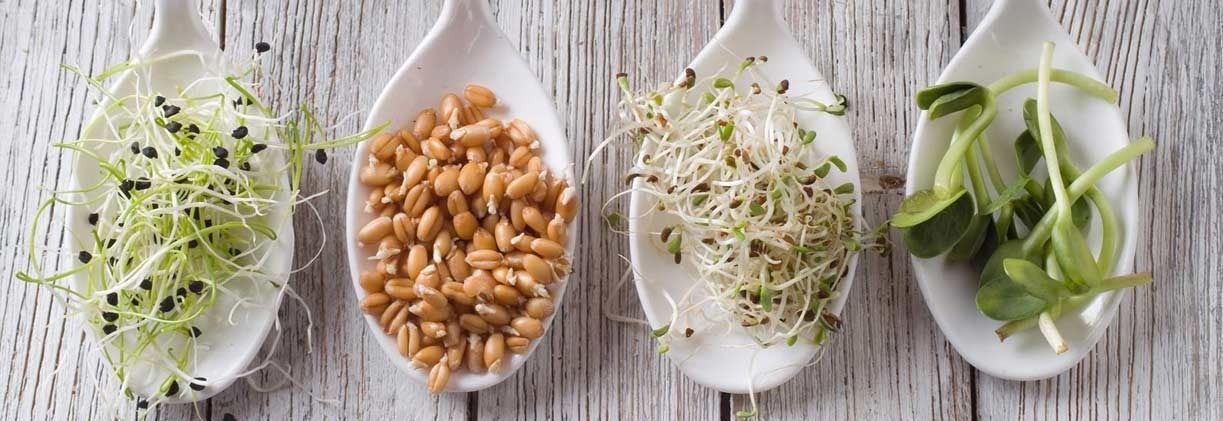 Cuatro cuencos de cristal blanco con ensalada inflada, galletas saladas, cereales y hierbas aromáticas sobre un mantel a rayas.