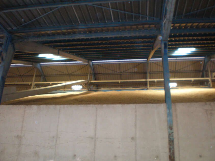 Interior de una nave industrial con vigas metálicas en el techo, sobre una pared de hormigón y claraboyas.
