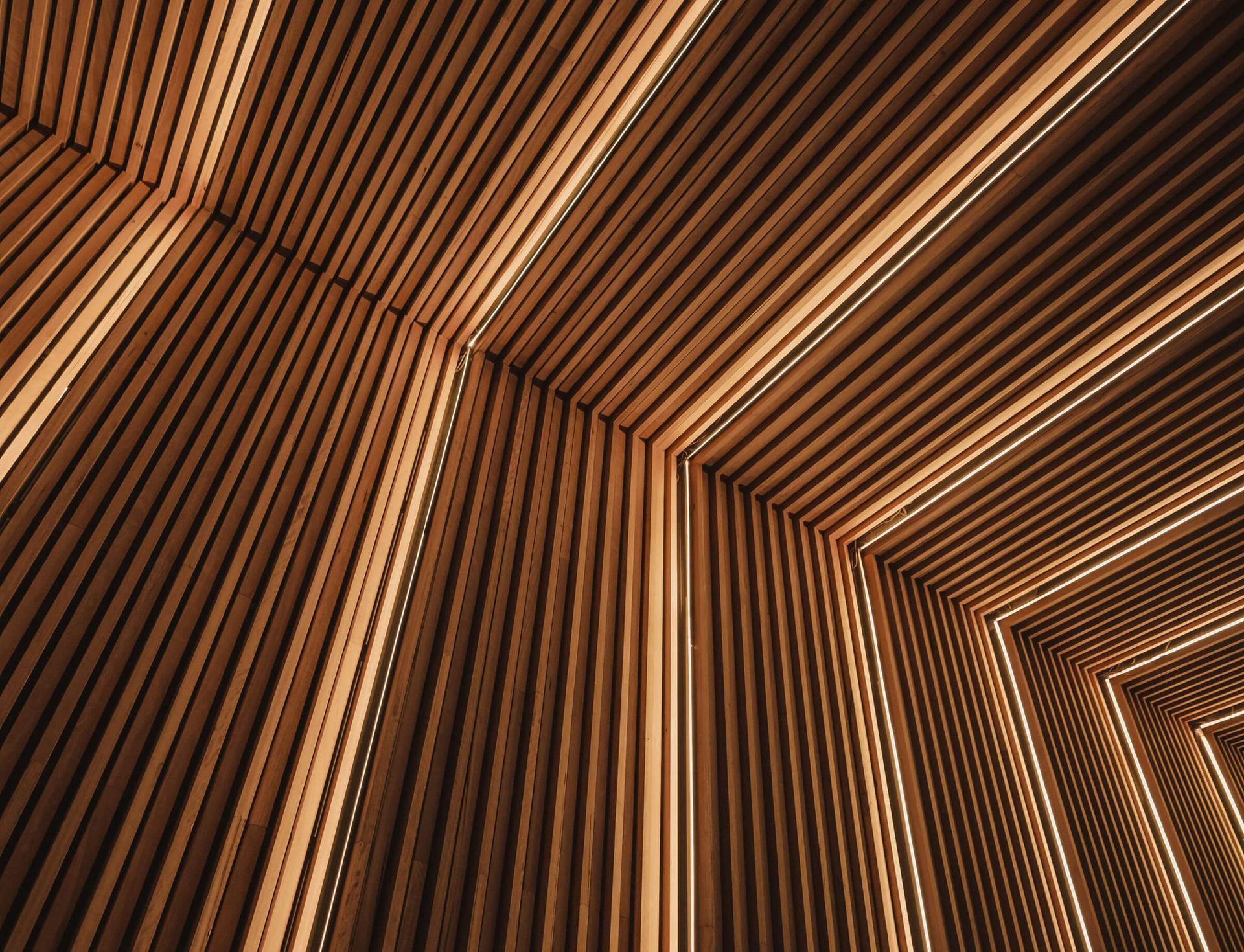 Blick nach oben auf eine Holzdecke mit durch sie verlaufenden Linien