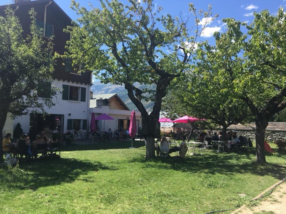 Photo du jardin ensoleillé