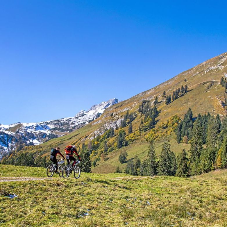 Vélos dans les Alpes