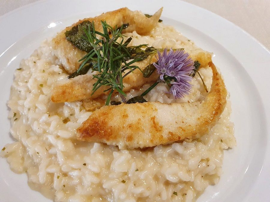 risotto di pesce - Ristorante Pomodoro