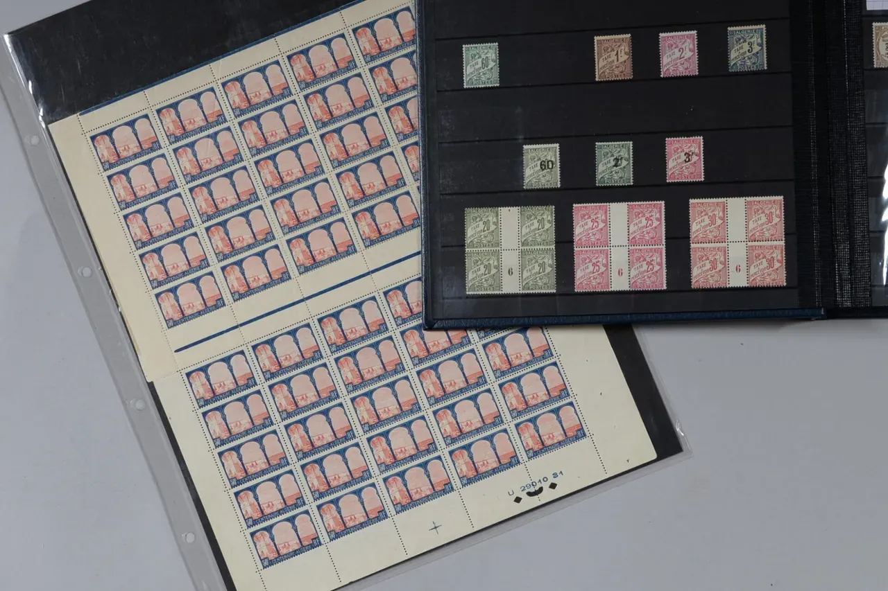 Adjugé 4700 € le 13.11.20. ALGÉRIE COLONIE FRANÇAISE 1924 - 1958. Collection en deux gros classeurs LES NON-DENTELES, ÉPREUVES DE LUXE, ÉPREUVES D’ARTISTES, VARIÉTÉS RARES, CARNETS, COINS DATES…