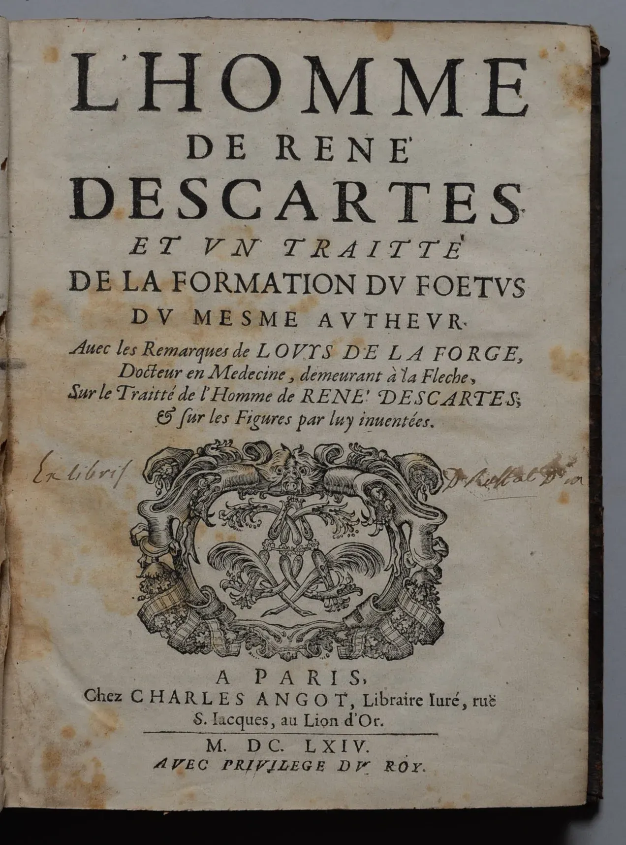DESCARTES (René) L’Homme de René Descartes.