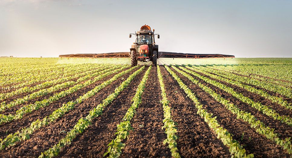 Ein Traktor versprüht Dünger auf einem üppigen grünen Feld.