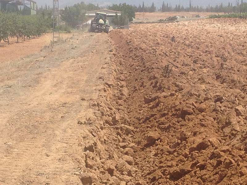 Un tractor está arando un campo de tierra con árboles al fondo.