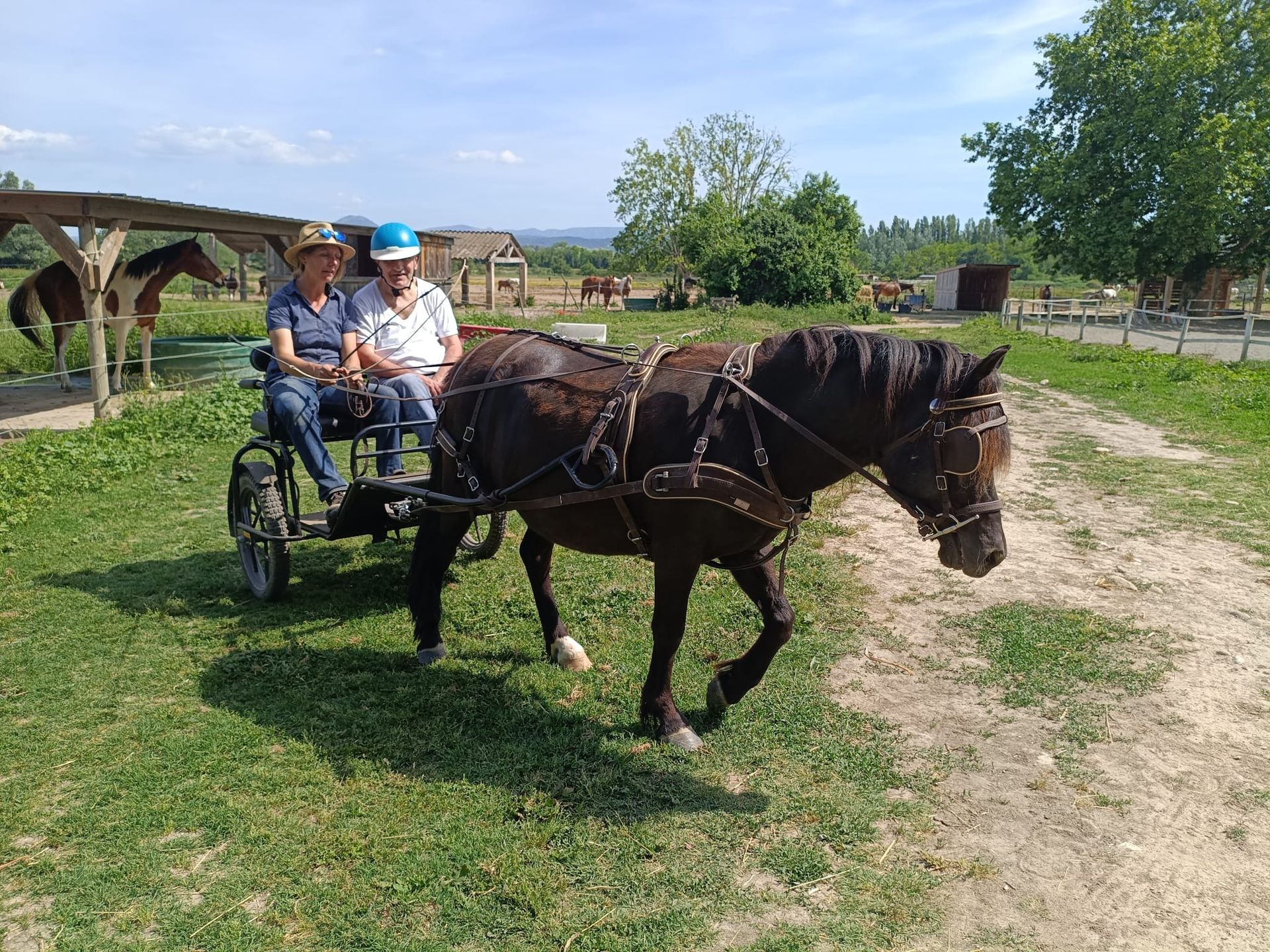 Deux personnes âgées assises dans un chariot tiré par un cheval.