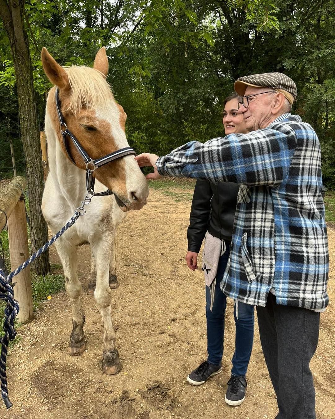 Une personne âgée caresse un cheval, dans un environnement boisé.