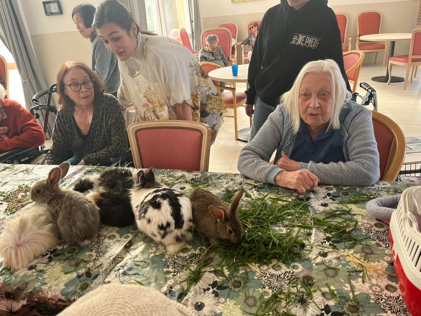 Des résidents de l'EHPAD rencontrent des lapins, lors d'une séance de zoothérapie.