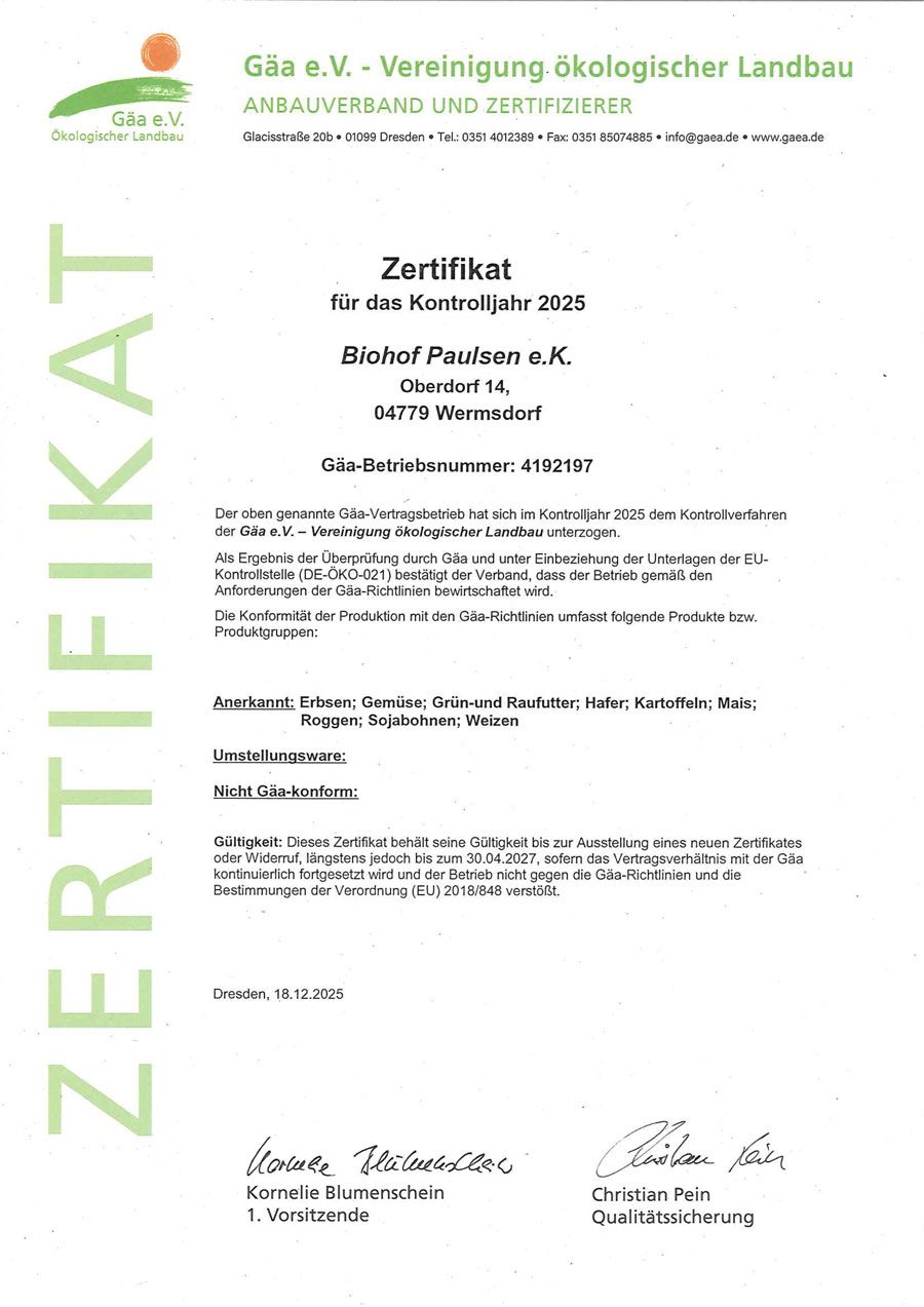 Deutsches Zertifikatsdokument mit grünem, vertikalem „ZERTIFIKAT“-Schriftzug und gedruckten Unterschriften auf weißem Papier