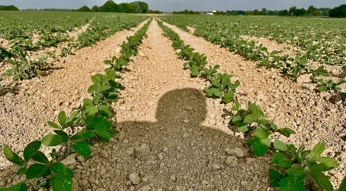 Leistungen vom  Biohof Paulsen aus Luppa bei Wermsdorf