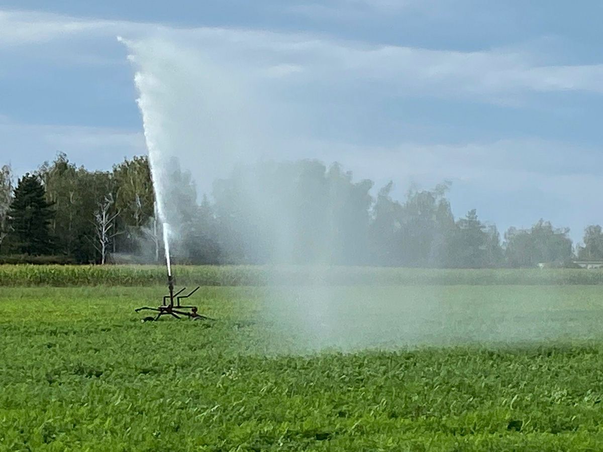 Landwirtschaft vom  Biohof Paulsen aus Luppa bei Wermsdorf