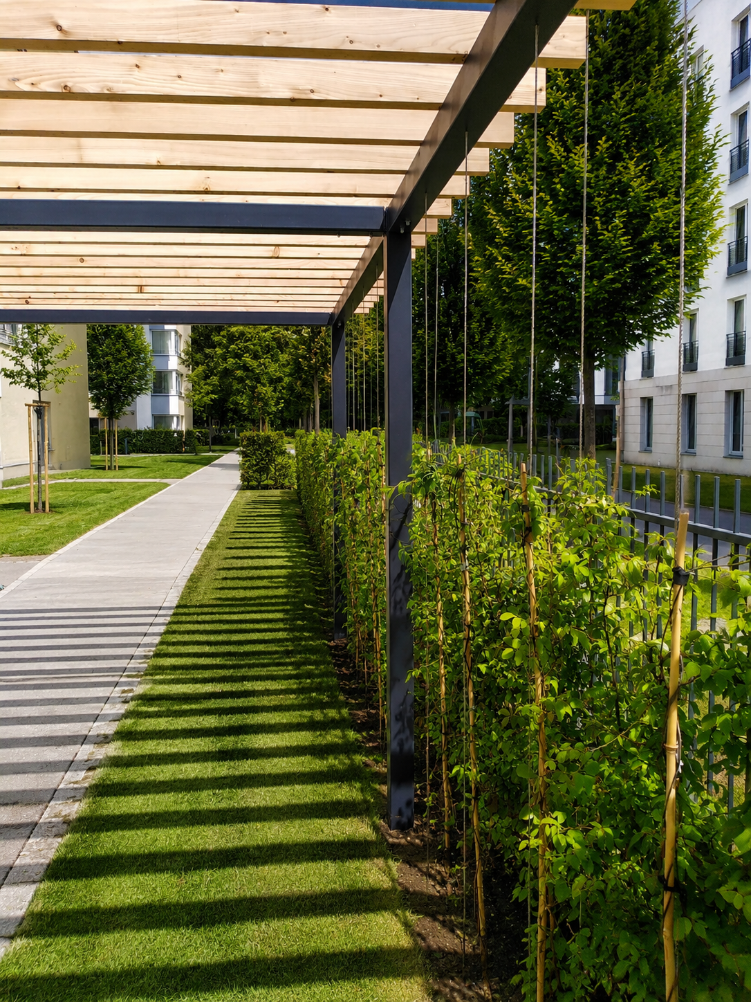 Schwarze Pergola-Balken aus Metall und Holz vor blauem Himmel mit Wolken, von unten betrachtet