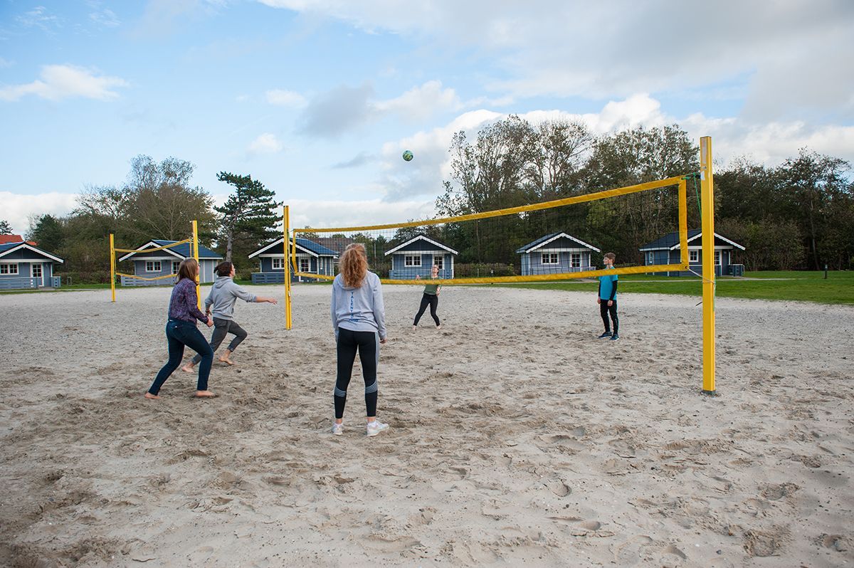 Menschen spielen Volleyball auf einem sandigen Platz im Freien; im Hintergrund sind gelbe Netzpfosten und Bäume zu sehen.