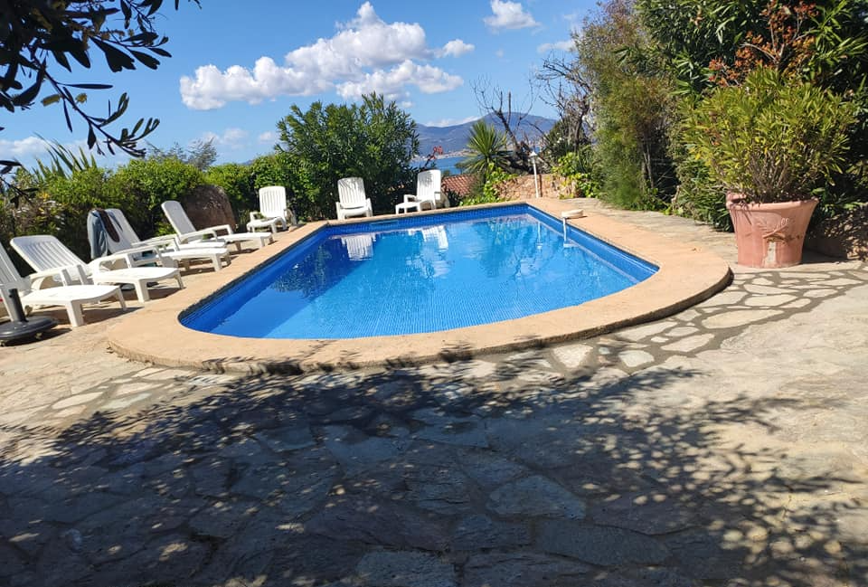 Piscine avec un bord arrondi en espace naturel