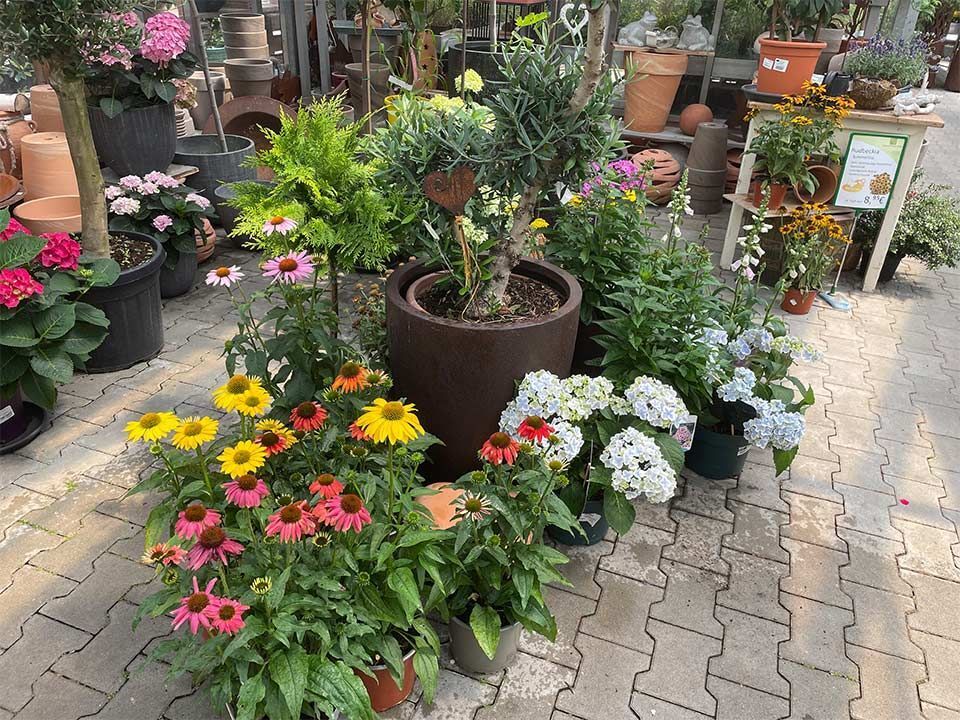 Garten & Floristik Prifling