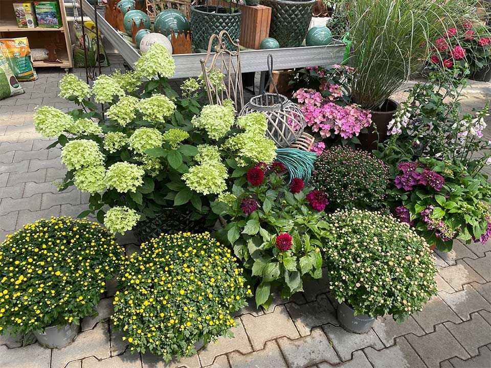 Garten & Floristik Prifling