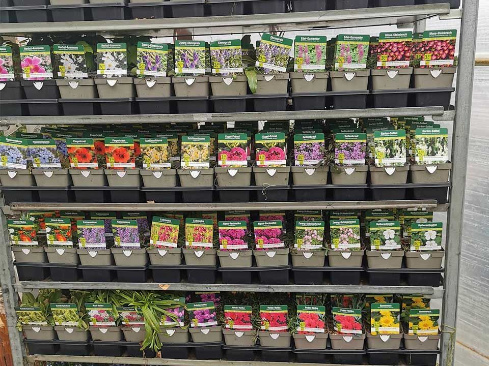 Garten & Floristik Prifling