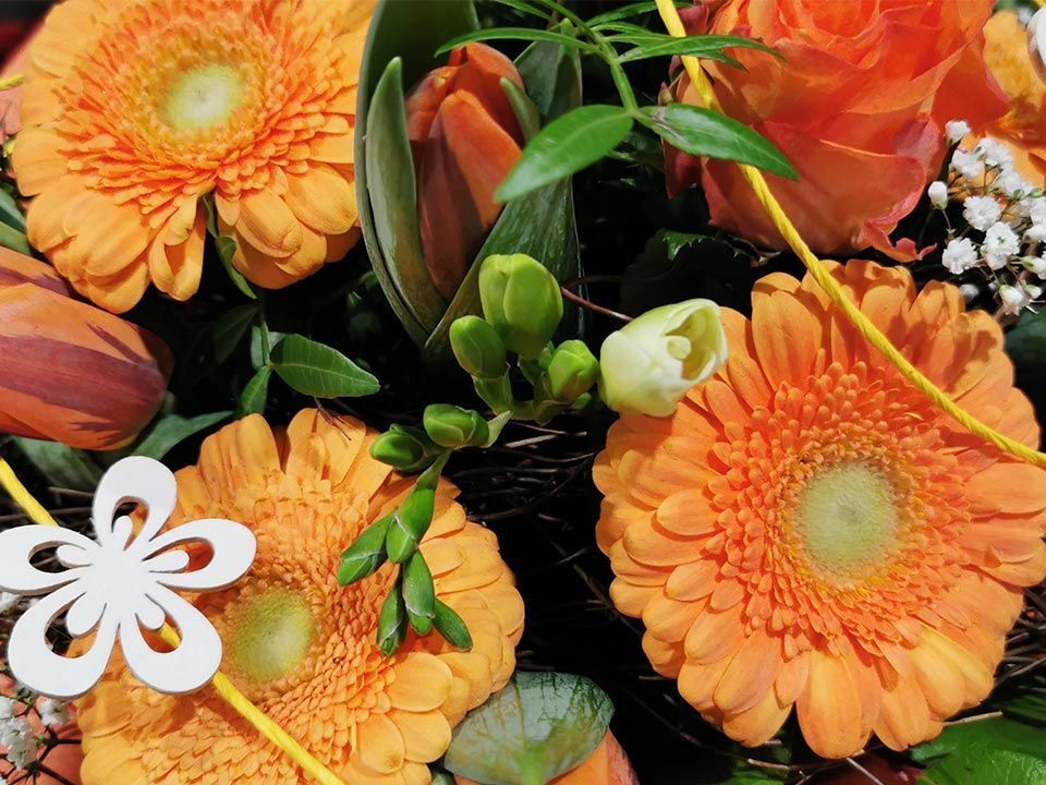 Garten & Floristik Prifling