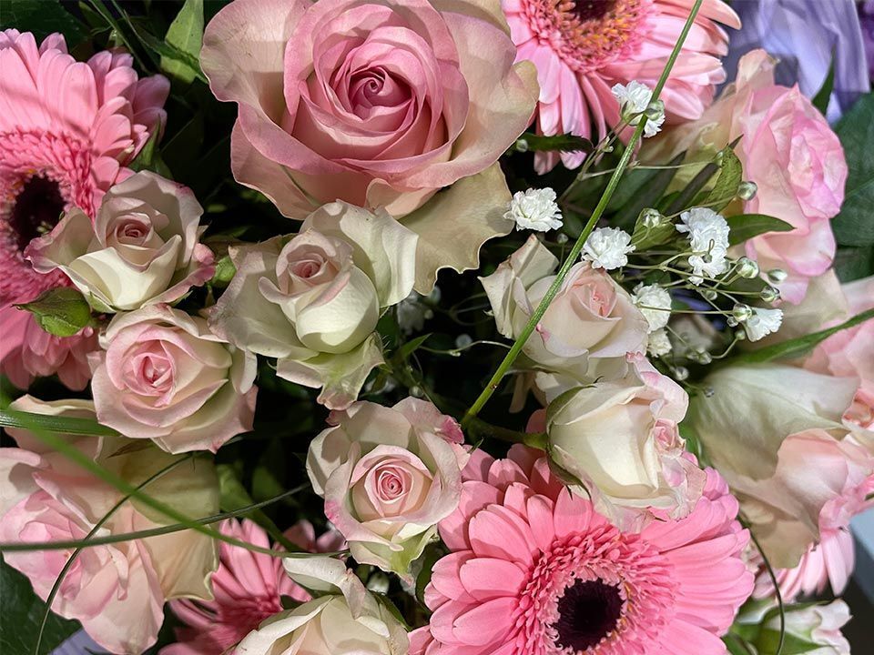 Garten & Floristik Prifling