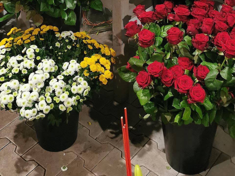 Garten & Floristik Prifling